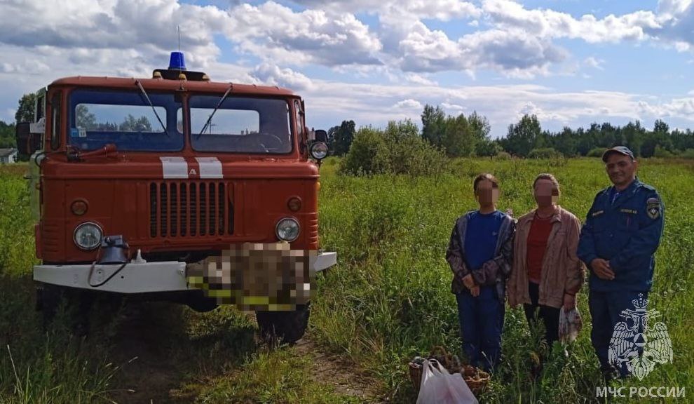 Бабушка и внучка потерялись в лесу Ивановской области