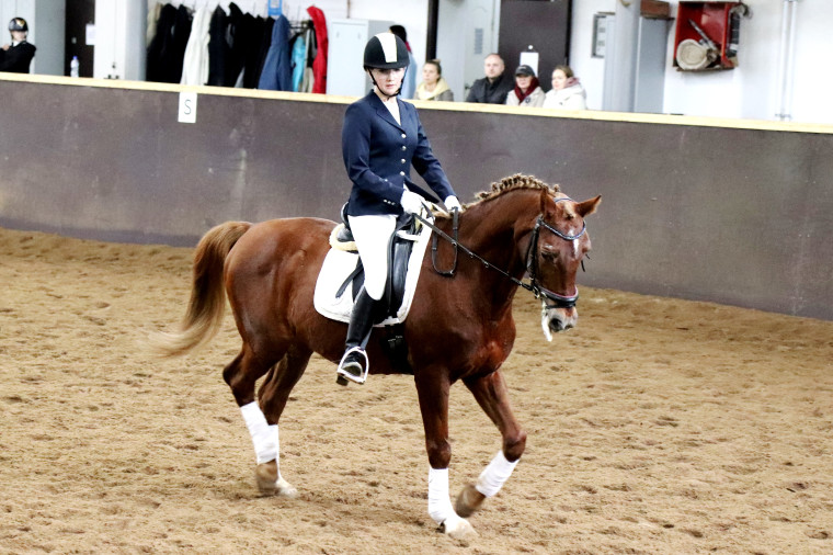 В Иванове пройдут региональные соревнования по конному спорту 
