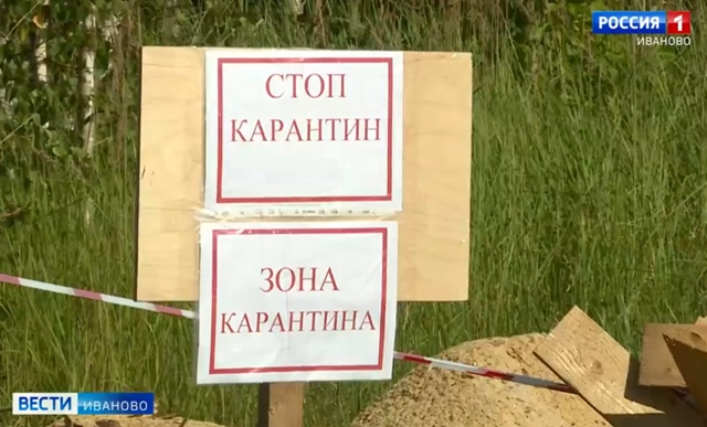 Скотомогильники с сибирской язвой передали в собственность Ивановской области