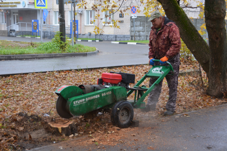 В Иванове избавляются от пней после спиленных деревьев 