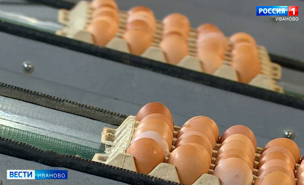 Производство животноводческой продукции в Ивановской области показывает уверенный рост