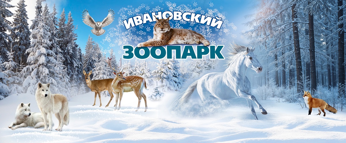 Ивановский зоопарк работает в новогодние праздники без выходных