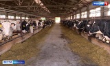 Больше половины годового объема средств господдержки довели до аграриев Ивановской области